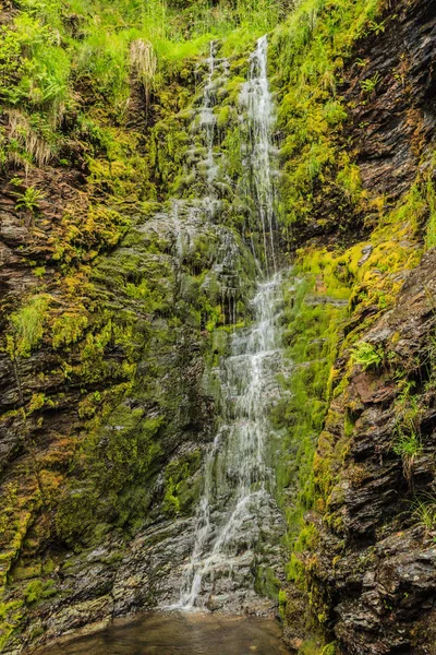 挪威夏季青山中的小瀑布 — 图库照片