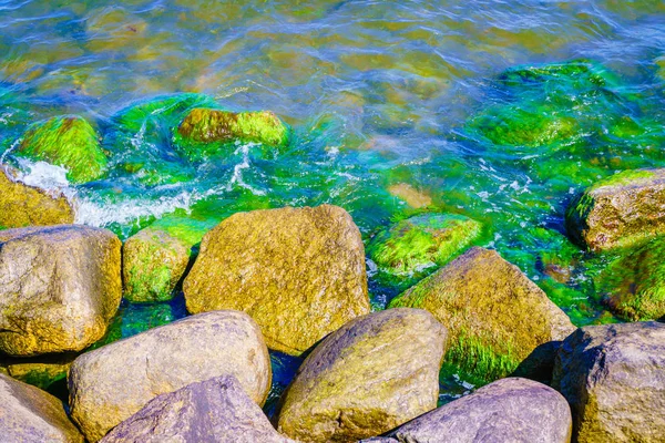 Detaljerade Nära Upp Rock Stenar Blått Vatten Havet Eller Ocean — Stockfoto