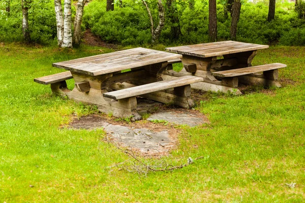 ノルウェーの森林公園 ヨーロッパのピクニックサイトの木製テーブルとベンチ — ストック写真