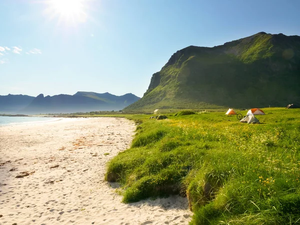 Tält Stranden Sommaren Camping Havets Strand Lofoten Skärgård Norge Semester — Stockfoto