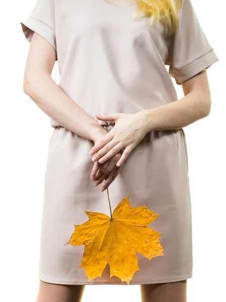 Autumnal Natural Decorations Concept Woman Holding Autumn Leaf Studio Shot — Stock Photo, Image