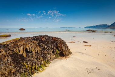 Manzaralı deniz kıyısı. Kuzey Bölgesi, Lofoten takımadaları Norveç 'te, ufukta dağları olan Gimsoya ve kumlu kumlu bir sahil. Turist eğlencesi.