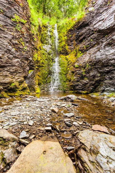 緑の夏の山 ノルウェーの小さな滝 — ストック写真