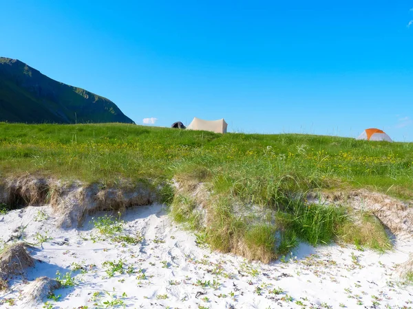 キャンプだ 夏には自然の上にテント ロフテン諸島ノルウェー 休日と旅行 — ストック写真