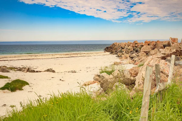 Havslandskap Havskust Med Sandstrand Vågbrytare Och Ängsblommor Orten Bleik Andoya — Stockfoto