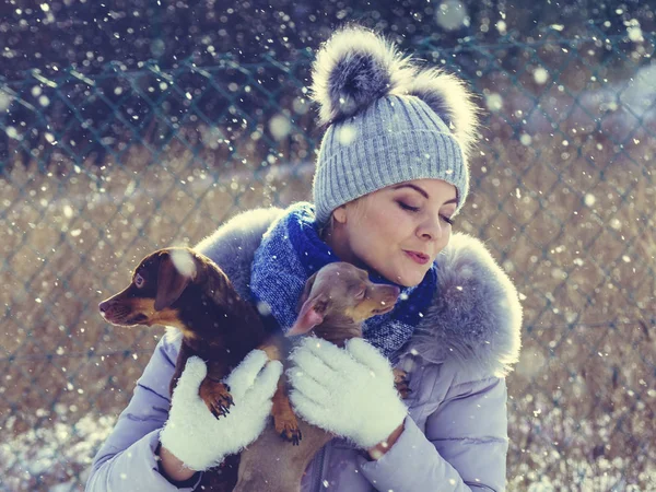 Genç bir kadın kışın eğleniyor. Kar yağarken iki küçük safkan köpek yavrusuyla oynayan dişi.