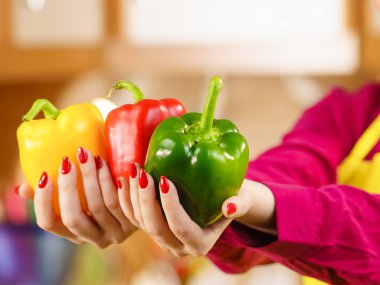 Dolmalık biber lezzetli Sağlıklı Diyet sebze sunan diyet yemek üç renk tutan kadın el