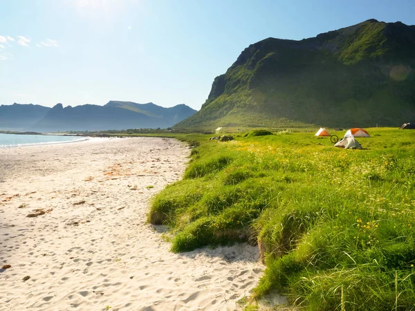 Tält Stranden Sommaren Camping Havets Strand Lofoten Skärgård Norge Semester — Stockfoto