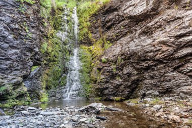 Yeşil yaz dağlarında küçük şelale, Norveç.