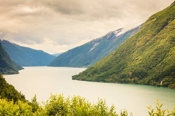 Туризм отдых и путешествия. Горит ландшафт и лес в Норвегии Скандинавия Европа. Красивая природа