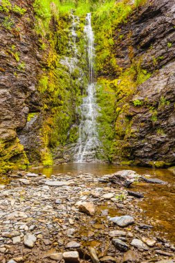 Yeşil yaz dağlarında küçük şelale, Norveç.