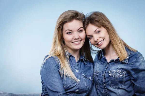 Friendship, human relations concept. Two happy women friends or sisters wearing jeans shirts having fun conversation.