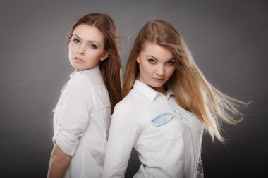 Kadın güzelliği ve modası. Çekici, çekici, çarpıcı kızlar. Birlikte poz veren muhteşem, modaya uygun moda kadın fotoğrafçılarının portresi..