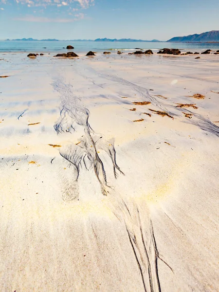 Scénická Mořská Pobřeží Gimsoysand Písečná Pláž Horami Obzoru Nordland County — Stock fotografie
