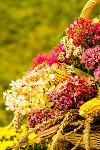 Декоративний Букет Польових Квітів Сіна Народні Прикраси — стокове фото