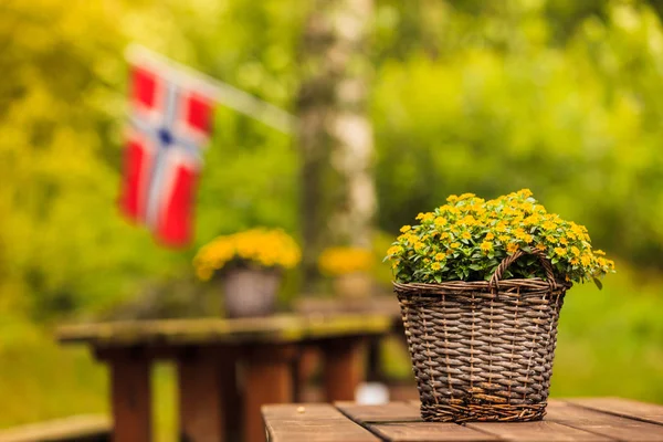 Flaga Norweski Piknik Miejscu Drewniany Stół Ławy Zewnątrz Zielony Las — Zdjęcie stockowe