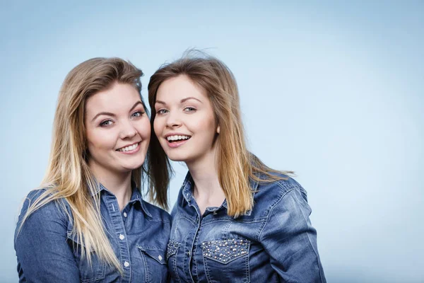 Friendship, human relations concept. Two happy women friends or sisters wearing jeans shirts having fun conversation.