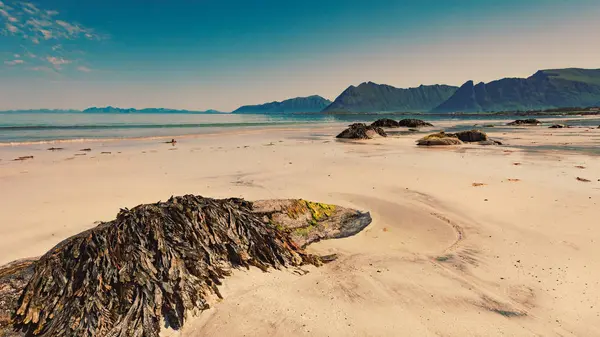 Natursköna Havskusten Gimsoar Och Sandstrand Med Berg Horisonten Nordland County — Stockfoto