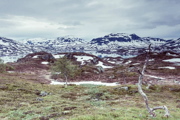 Norwegen Wandergebiet Malerische Berglandschaft Sommer — Stockfoto