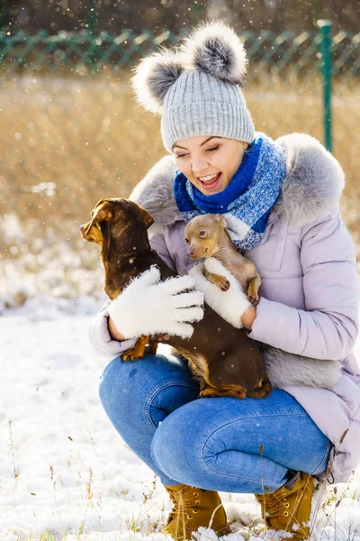 Genç bir kadın kışın eğleniyor. Kar yağarken iki küçük safkan köpek yavrusuyla oynayan dişi.