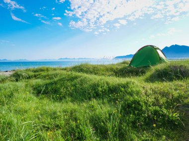Yazın deniz kıyısında çadır. Okyanus kıyısında kamp yapmak. Lofoten takımadaları Norveç. Tatil ve seyahat.