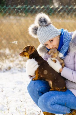 Genç bir kadın kışın eğleniyor. Kar yağarken iki küçük safkan köpek yavrusuyla oynayan dişi.