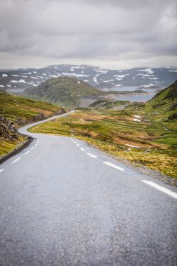 Rogaland ilçesinde bulunan yaz Norveç Dağları çalışan Lysevegen yol. Güzel manzara. Seyahat ve Turizm.