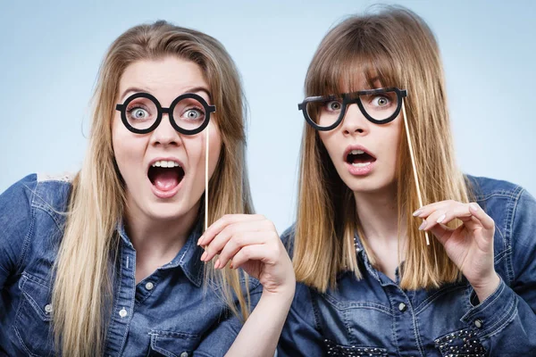 Twee Gelukkige Vrouwen Met Een Nepbril Een Stok Die Plezier — Stockfoto