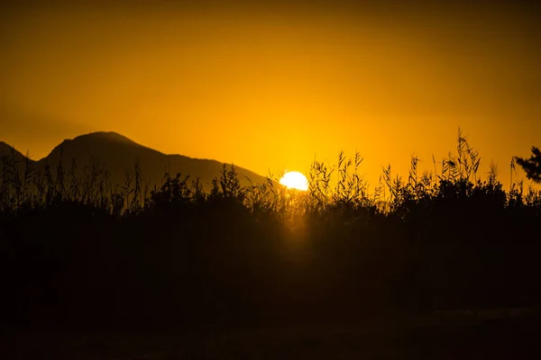 Malerische Sonnenuntergangs Oder Sonnenaufgangssonne Die Über Einem Berg Aufgeht — Stockfoto