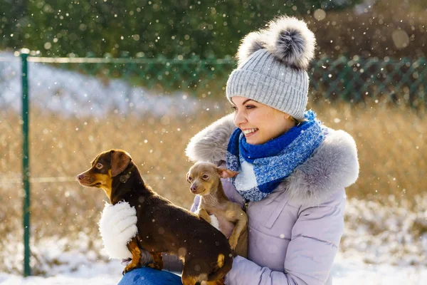 冬の間は楽しい若い女性 女遊びともに彼女の二つの小さな純血犬子犬ながら雪が降っています — ストック写真