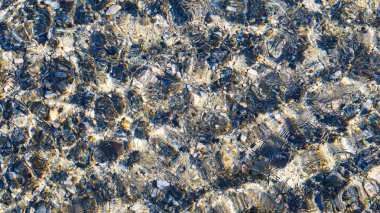 Taşlar ve kabukları suda. Soyut Tasarım doku arka plan.