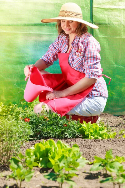 Berkebun Wanita Bertopi Merah Celemek Bekerja Kebun Belakang Rumahnya Menyirami — Stok Foto