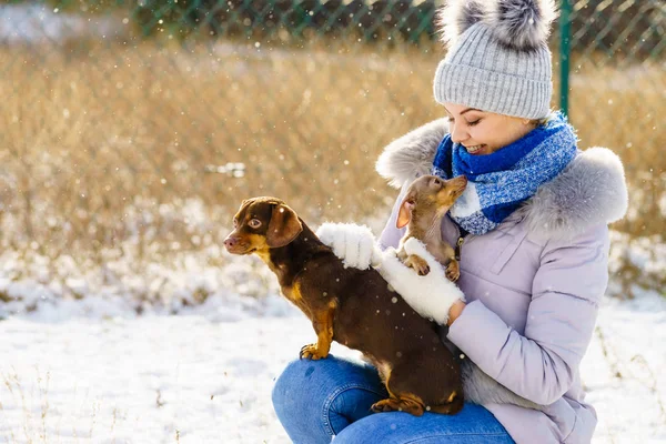 冬の間は楽しい若い女性 女遊びともに彼女の二つの小さな純血犬子犬ながら雪が降っています — ストック写真