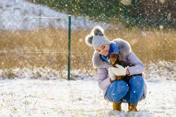 若い女性は 冬の間楽しい時を過します 雪は雪降っている間彼女の小さな Purebreed ダックスフント犬の子犬と遊ぶ女性 — ストック写真