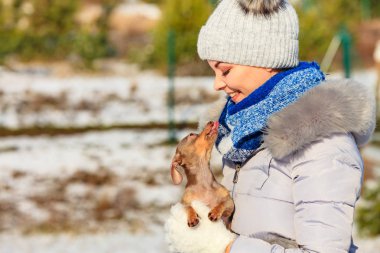 Genç bir kadın dışarıda karda eğleniyor. Dişi, soğuk kış gününde safkan köpek yavrusuyla oynuyor..