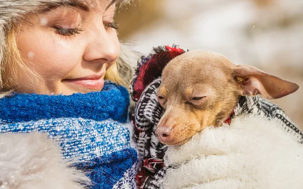 Mujer Joven Envolvió Mejor Amigo Perrito Una Bufanda Manta Caliente —  Fotos de Stock