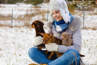 Genç bir kadın dışarıda karda eğleniyor. Dişi, soğuk kış gününde küçük safkan köpekleriyle oynuyor..