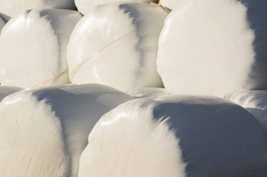 Çok sayıda saman paket tarımsal kökenli. Mısır gevreği balya saman plastik beyaz folyo sarılmış.