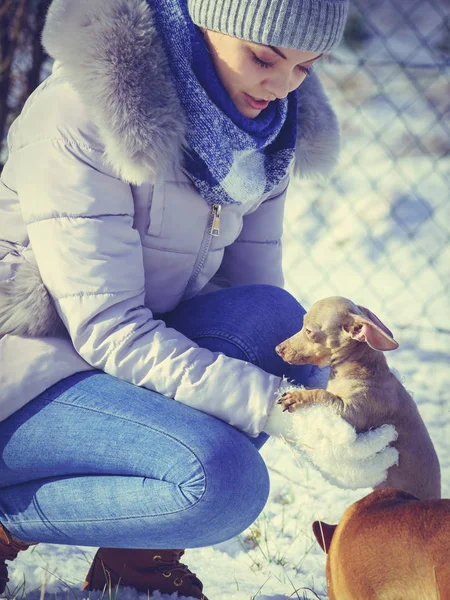 Ung Kvinna Har Roligt Vintern Kvinna Leker Med Sin Lilla — Stockfoto