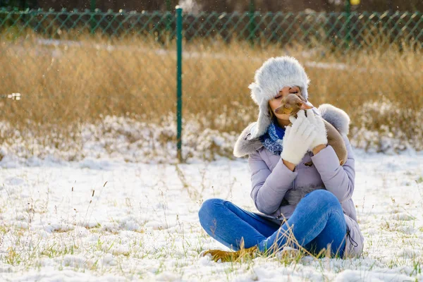 Young Woman Having Fun Winter Female Playing Her Small Purebreed Stock Photo