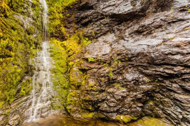 Yeşil yaz dağlarında küçük şelale, Norveç.