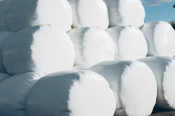 Bale de heno envuelto en papel de plástico — Foto de Stock