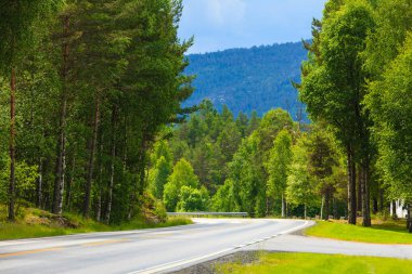 Yol manzara Norveç dağlarında