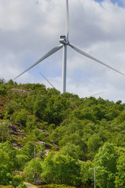 wind turbines farm on coast hills