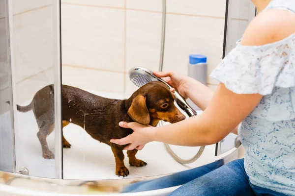 Mulher tomando banho seu cão — Fotografia de Stock