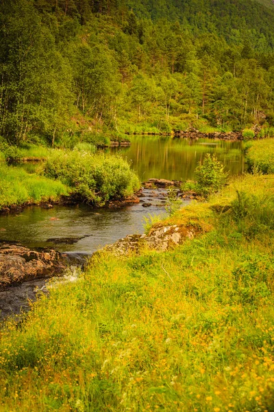 Rio em montanhas, Noruega . — Fotografia de Stock