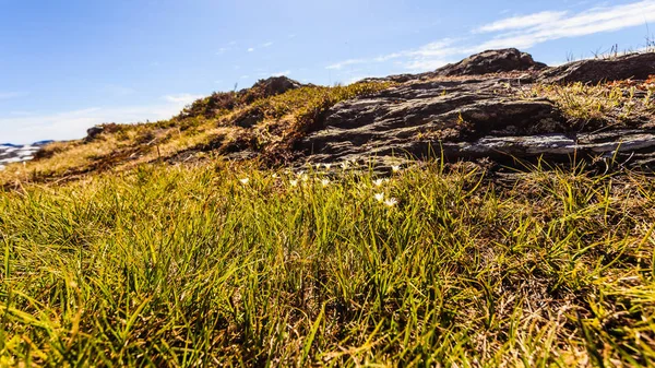 Landskap. Norska landskapsrutt Aurlandsfjellet — Stockfoto