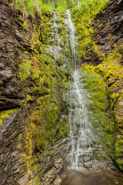 Küçük şelale dağlarda, Norveç.