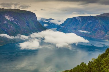 Fiyort manzara Norveç'te Aurlandsfjord