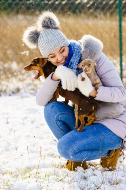 Köpeklerle kış aylarında oynayan kadın